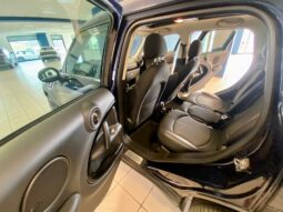 
										MINI COUNTRYMAN COOPER S ALL4 1.6 184 CV AUTOMATICA full									